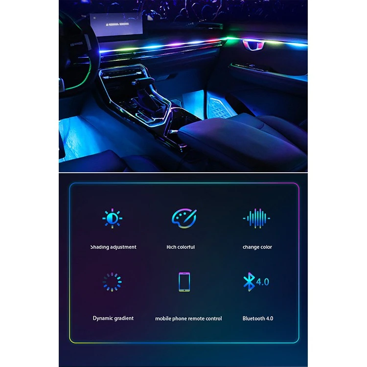 Vehicle Ambient Lighting factory